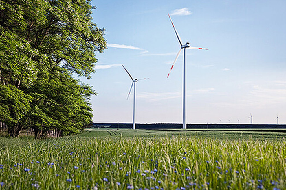 Die Kraft der Natur: Wind und Sonne als unerschöpfliche Energiequellen